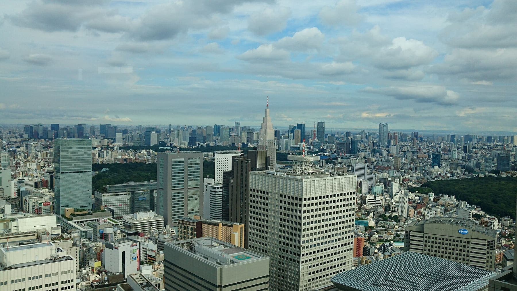 The Tokyo skyline