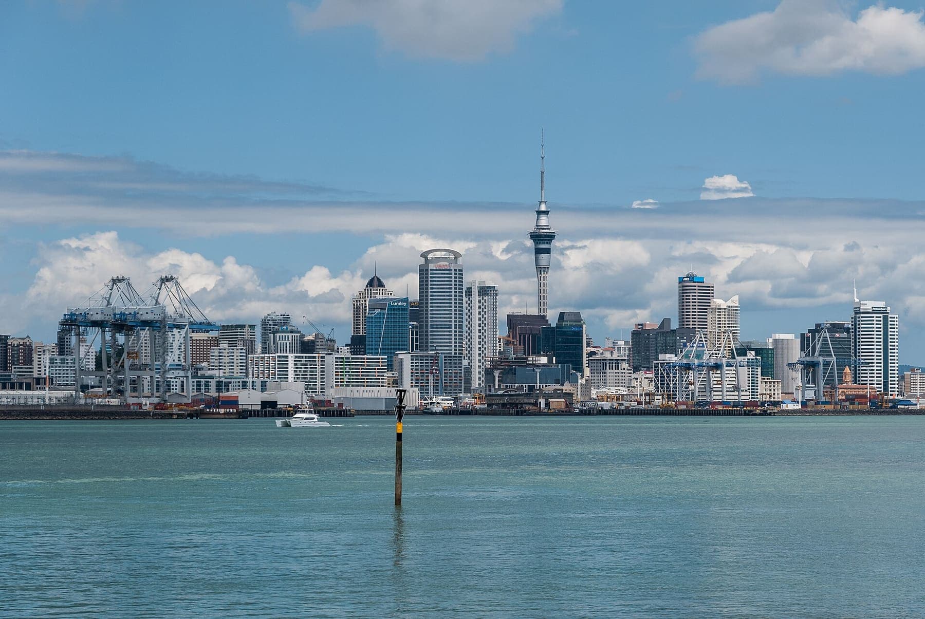 Auckland skyline